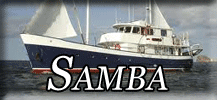 Samba button